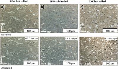 Comparison of the Mechanical Properties and Forming Behavior of Two Texture-Weakened Mg-Sheet Alloys Produced by Twin Roll Casting
